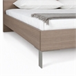 Pemberly Row Eastern King Bed in Brown Oak with Stainless Steel Legs