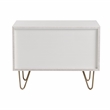 Pemberly Row Bryan Modern MDF Wood Nightstand in White with Gold Accents
