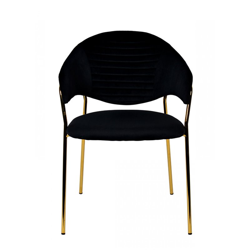 Pemberly Row Set of 2 Black Velvet Steel Dining Chairs with Gold Finish