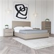Pemberly Row Contemporary Queen Bed in Grey Wood Veneer with Panel Headboard
