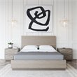Pemberly Row Contemporary Queen Bed in Grey Wood Veneer with Panel Headboard