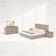 Pemberly Row Contemporary Queen Bed in Grey Wood Veneer with Panel Headboard