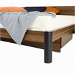 Pemberly Row Modern Eastern King Bed in Wood Finish with Storage and Lighting