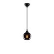 Pemberly Row Smoked Chandelier with Metal Body in Black Finish