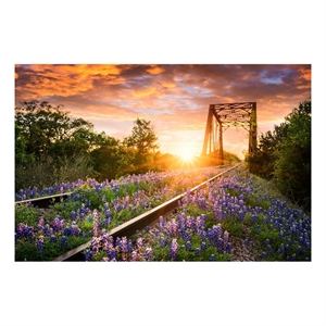 Pemberly Row Tempered Glass Wall Art in Multicolor - 40&quot x 60&quot