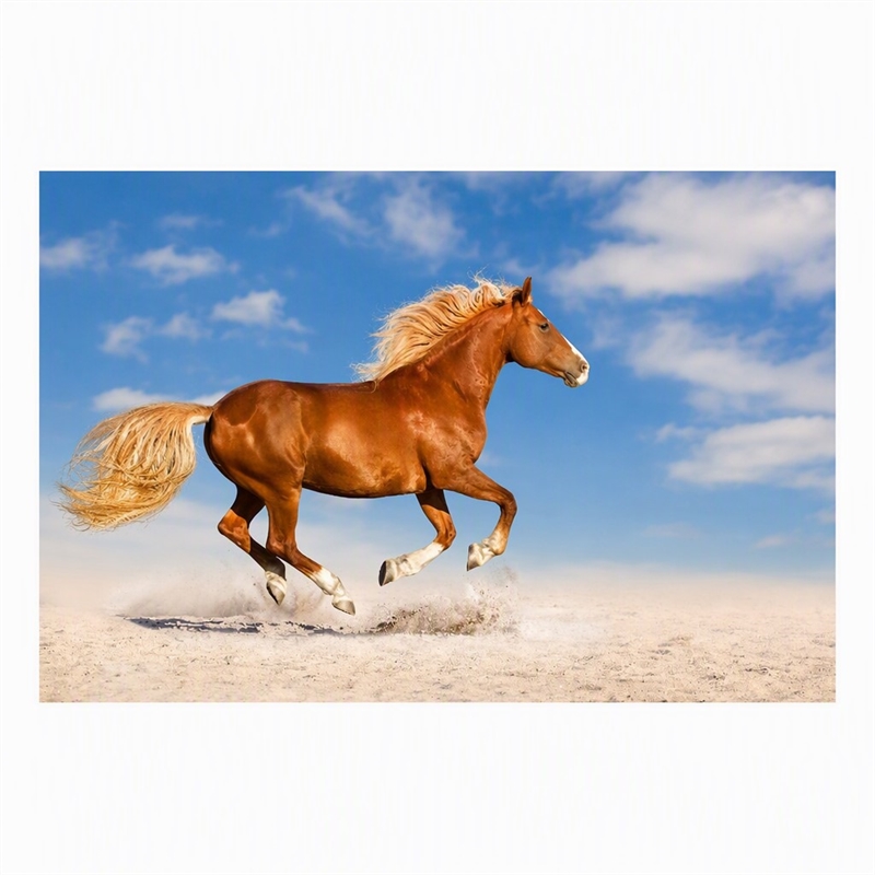 Pemberly Row Frameless Tempered Glass Wall Art Golden Gallop 60