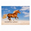 Pemberly Row Frameless Tempered Glass Wall Art Golden Gallop 60