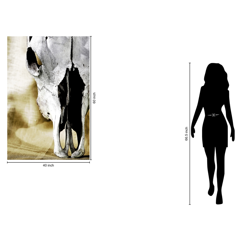 Pemberly Row Cattle Skull Tempered Glass Wall Art - 40