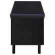 Pemberly Row 2-Door Padded Entryway Shoe Storage Bench in Black