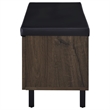 Pemberly Row 2-Door Padded Entryway Shoe Storage Bench in Smoked Oak