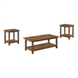 Pemberly Row 3-piece Coffee and End Table Set in Distressed Brown