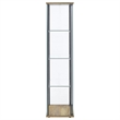 Pemberly Row 3-shelf Engineered Wood and Clear Glass Curio Cabinet in Brown