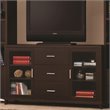 Pemberly Row 2-door Engineered Wood 60-inch TV Stand in Cappuccino