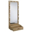 Pemberly Row 1-Drawer Lighted Full-Length Floor Glass Mirror in Brown