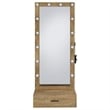 Pemberly Row 1-Drawer Lighted Full-Length Floor Glass Mirror in Brown