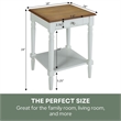 Pemberly Row End Table with Drawer and Shelf in Driftwood and White