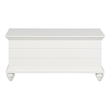 Pemberly Row Cedar Lined Storage Chest Faux Plank Details in White