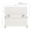 Pemberly Row Cedar Lined Storage Chest Faux Plank Details in White
