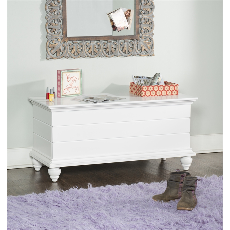 Pemberly Row Cedar Lined Storage Chest Faux Plank Details in White