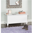 Pemberly Row Cedar Lined Storage Chest Faux Plank Details in White