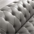 Pemberly Row Tufted Upholstered Leather Chesterfield Armchair in Gray