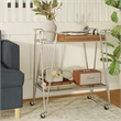 Pemberly Row Metal Rolling Bar Cart with Mirrored Shelves in Silver