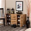 Pemberly Row 3-Door Shoe Storage Cabinet in Oak Brown Finish