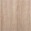 Pemberly Row Oak Finished Wood Cat Litter Box Cover with Shelf