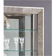 Pemberly Row 5-Shelf Mirrored Curio Cabinet in Aged Silver Finish