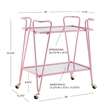 Pemberly Row Metal and Mirrored 2-Level Rolling Bar Cart in Pink