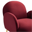 Pemberly Row Performance Velvet Armchair with Gold Legs in Maroon Red