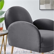 Pemberly Row Performance Velvet Armchair with Gold Legs in Gray