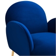 Pemberly Row Velvet Armchair with Gold Legs in Navy Blue