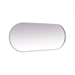Pemberly Row Oval Pill-Shaped Metal Wall Mirror in Silver Finish 30x72 in