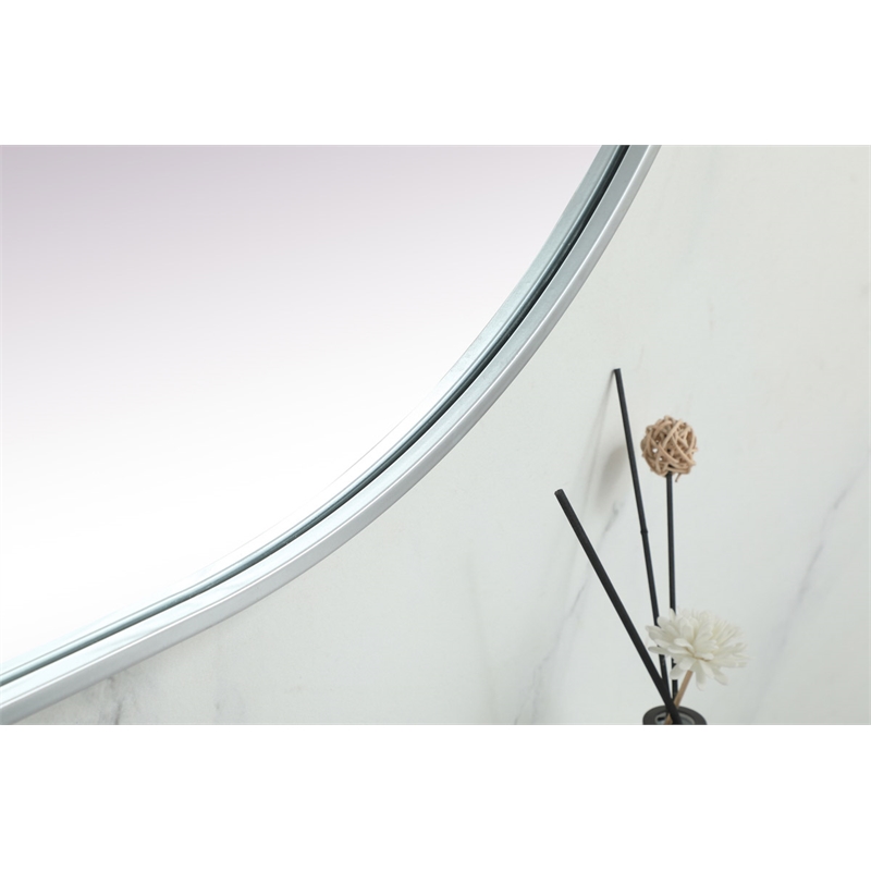 Pemberly Row Oval Pill-Shaped Metal Wall Mirror in Silver Finish 30x72 in