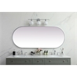 Pemberly Row Oval Pill-Shaped Metal Wall Mirror in Silver Finish 30x72 in