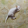 Pemberly Row 2' x 3' Polyester Accent Rug in Lilac and Green