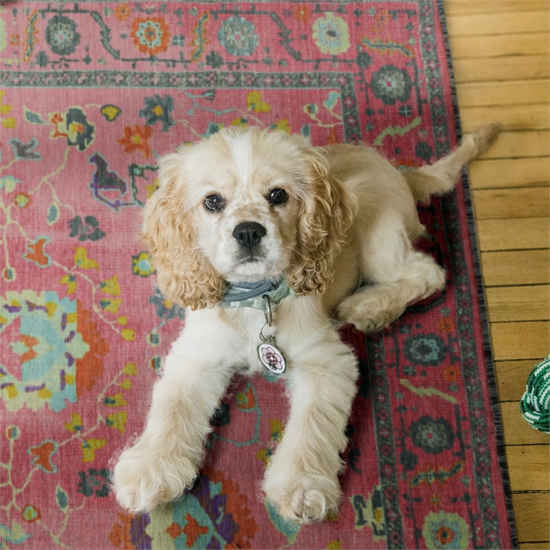 Pemberly Row 5' x 7' Polyester Area Rug in Pink and Blue