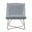 Pemberly Row Gray Velvet Accent Chair with Gold Metal Legs