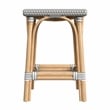 Pemberly Row Square Backless Rattan 24 in Counter Stool in Gray and White