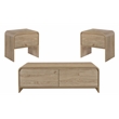 Pemberly Row 3-Piece Cocktail Table and End Tables in Natural Wood Finish
