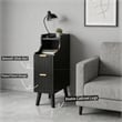 Pemberly Row Slim Black Nightstand with 2 Drawers in Engineered Wood