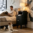 Pemberly Row Slim Black Nightstand with 2 Drawers in Engineered Wood