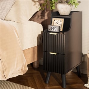 Pemberly Row Slim Black Nightstand with 2 Drawers in Engineered Wood