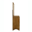Pemberly Row 2-Piece Dresser and Mirror Set in Honey Brown