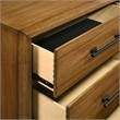 Pemberly Row 2-Piece Dresser and Mirror Set in Honey Brown