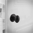 Pemberly Row Egg Brass Dummy Door Knob in Matte Black Finish