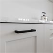 Pemberly Row 3.8 in. Stainless Steel Cabinet Pulls Matte Black 10-Pack