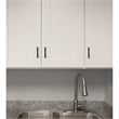 Pemberly Row 3.8 in. Stainless Steel Cabinet Pulls Matte Black 10-Pack
