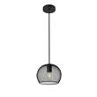 Pemberly Row Keller 1-Light Black Metal Pendant Lamp with Canopy